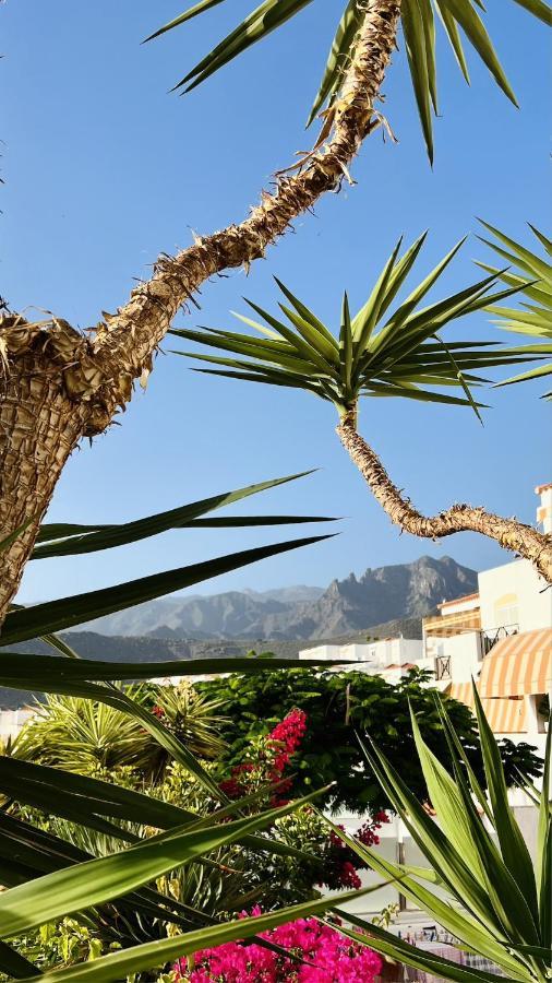 Enchanting House South Tenerife, Sea View 阿德耶 外观 照片